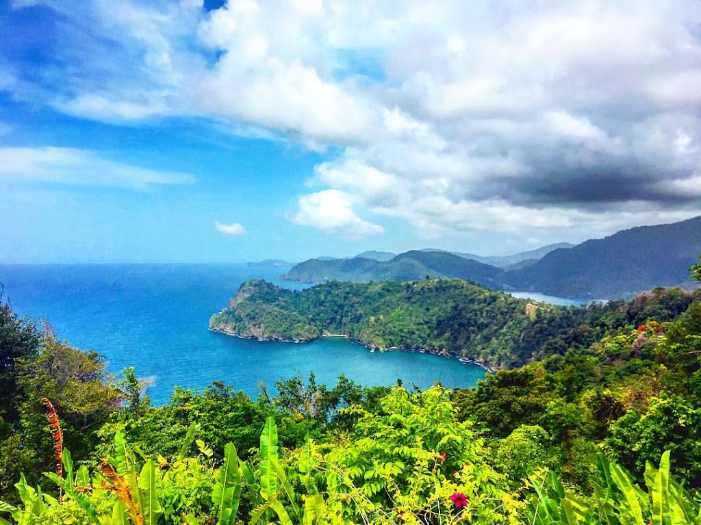 Should I Stay or Should I Go? – Is There a Future for Me in T&T